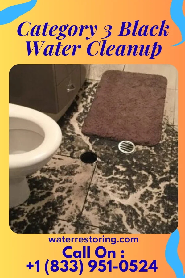 Category 3 Black Water Cleanup in Weatherby, MO
