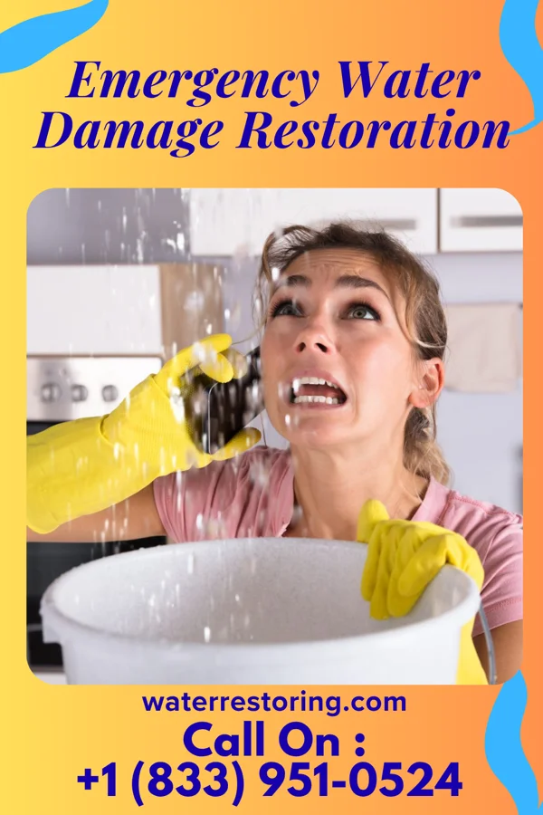 Emergency Water Damage Restoration in Weatherby, MO
